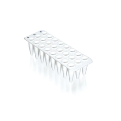 PCR Plate, 24-Well, 0.2mL, PP, Standard, White. Without Skirt, BIO-CERT® PCR / PK 40