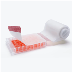 AeraSeal Plate Seals in Roll, Cell and Tissue Culture, Non-Sterile, 2 Rolls/Pk, 50 sheets/roll