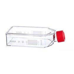 Flask, Cell Culture, 250mL, PS, clear, TC treated, Sterile, D/RNase Free /PK 120
