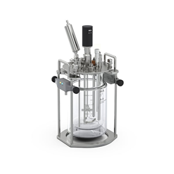 Bioreactor, HABITAT ferment dw 2 double-wall, for 2 l