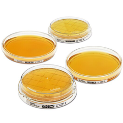 Contact agar sabouraud dextrose Chloramphenicol, for detection of yeast and molds /PK 20