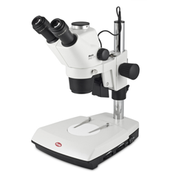 Stereo Microscope Trinocular Head SMZ-143-FBGG MOTIC