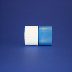 Filter holder, single stage, 1/4" ferrule nut inlet & outlet, 25mm, white/blue PVDF clamp